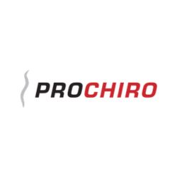 Pro Chiropractic Bozeman